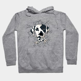 Dalmatian dog lover,animal lover Hoodie